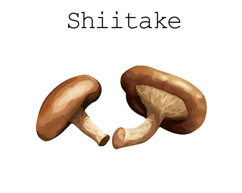 Shiitake-icona