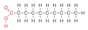 La composizione chimica di un acido grasso saturo, in questo caso con catena media