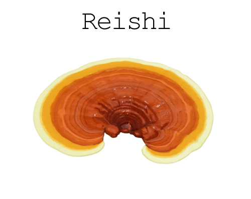 Reishi-icona